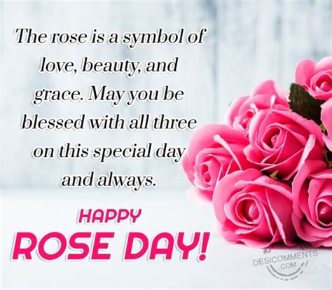 The Rose Is A Symbol Of Love Beauty