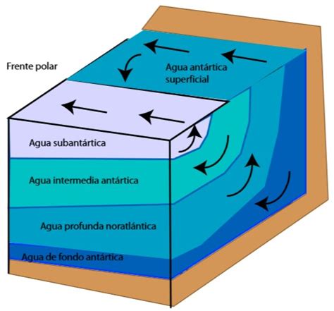 Corrientes Oceánicas Innova Oceanografía Litoral