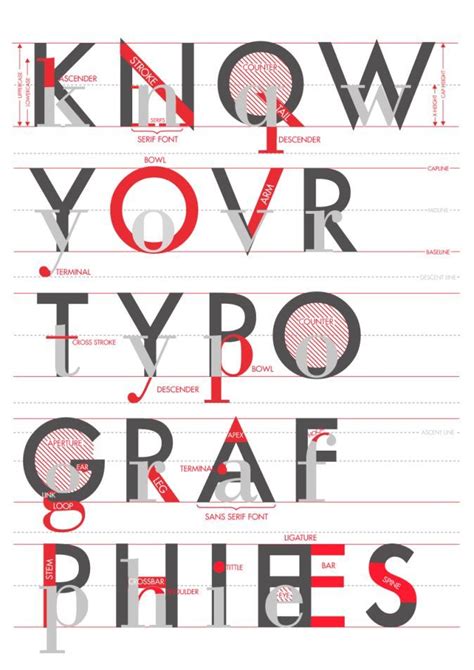 “know Typographies” Poster Anatomy Letters Anatomy Of Typography