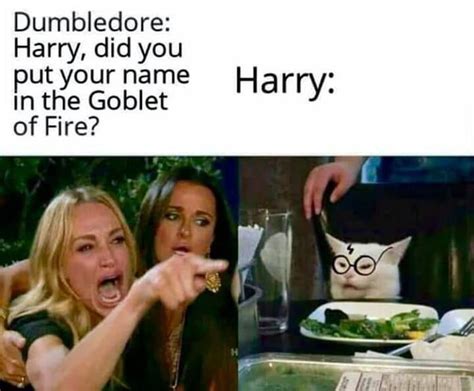 Did Ya Put Ya Name In Da Goblet Of Fiyah Funny Harry Potter