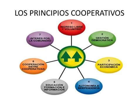Las Cooperativas Los Principios Cooperativistas