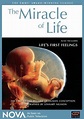 The Miracle of Life - Alchetron, The Free Social Encyclopedia
