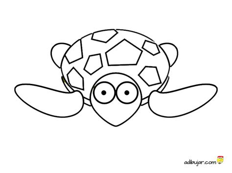 Imágenes para colorear tortuga | adibujar.com