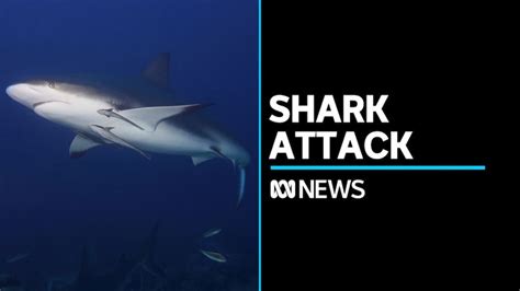 teenager dies after suspected shark attack in perth s swan river abc news