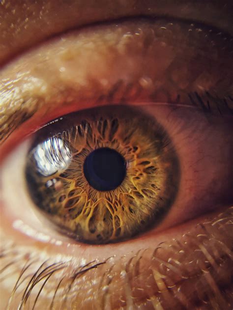 Eye Under Macro Lens R Mildlyinteresting Mildly Interesting Know