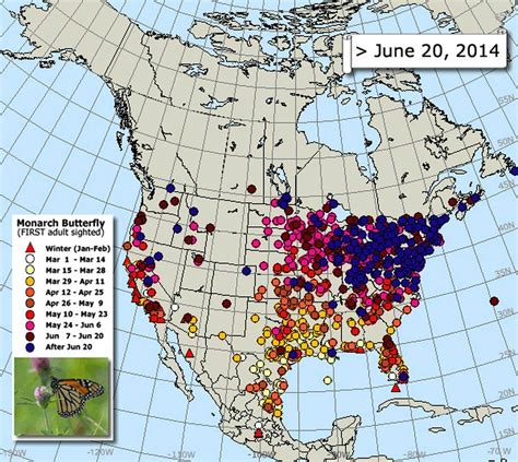 This Animation Of The Wondrous Monarch Butterfly Migration Was The Work