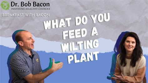 Breakfast With Bacon What Do You Feed A Wilting Plant Youtube