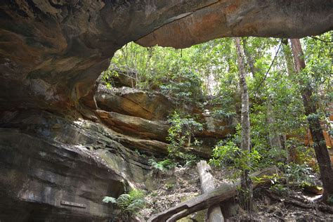 Cave Creek Walking Track Nsw Holidays And Accommodation Things To Do