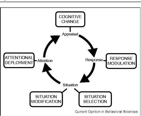 🎉 Cognitive Theory Of Emotion Lazarus Theory Of Emotion Definition 2022 10 14