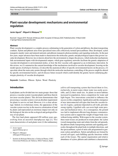Plant Vascular Development Mechanisms And Environmental Regulation
