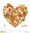 Heart made from nuts stock vector. Illustration of brown - 36817497
