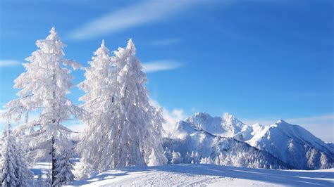 White Beautiful Winter Time Cold Season