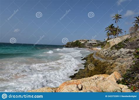 Crane Beach Barbados Stock Image Image Of Ocean Indies 242272289