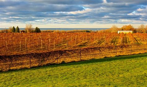 Wine Water And Waldameer Things To Do In Erie Pa The Getaway