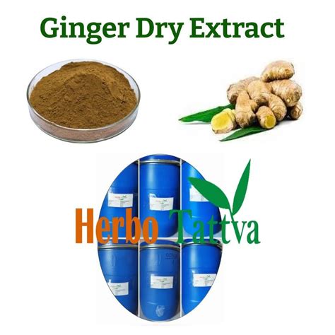 Ginger Dry Extract At Rs 1000kg Ginger Extract In Bulandshahr Id