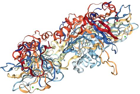 Ridker pm, rifai n, rose l, et al. C-Reactive Protein Protein
