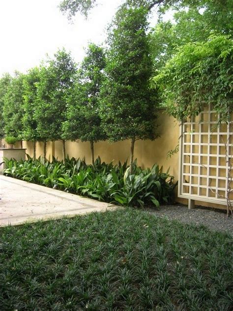 30 Big Tips And Ideas To Create Backyard Privacy Landscaping Ogród
