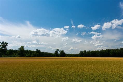 Fields And Blue Sky Free Photo Download Freeimages