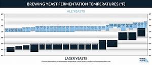 Fermentation Temperatures In The Brewing Process