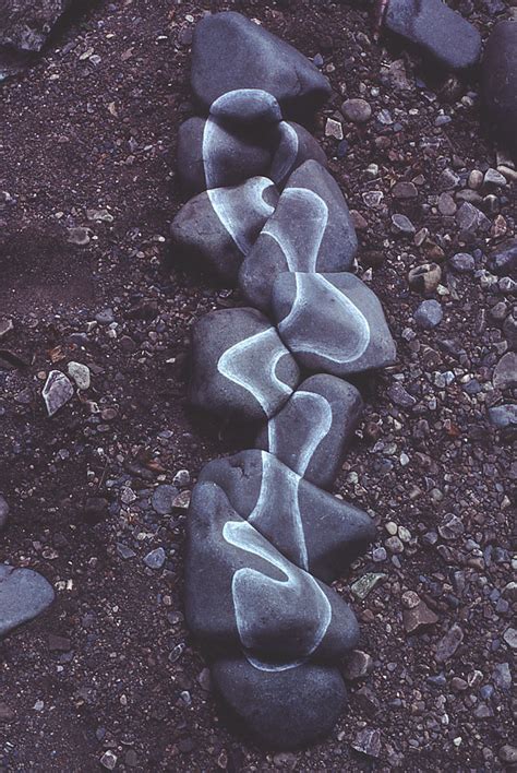 Andy Goldsworthy Digital Catalogue 1983131