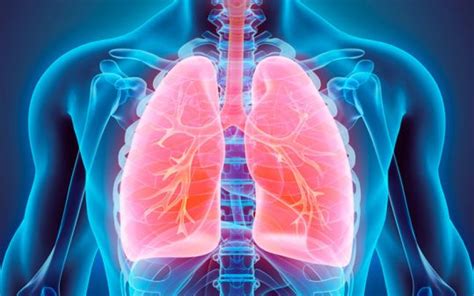 Doen A Pulmonar Obstrutiva Cr Nica Tratamento Atrav S De Exerc Cios