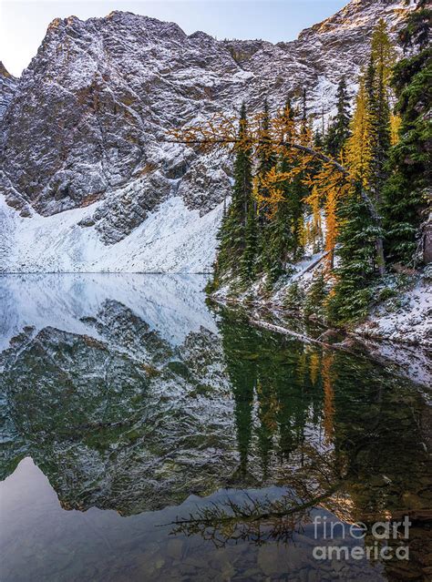 Blue Lake Fall Colors Curved Larch Photograph By Mike Reid Fine Art