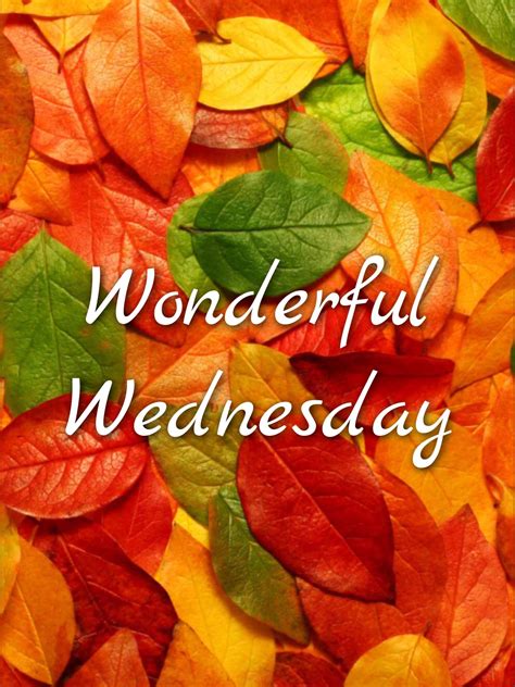 Wednesday | Wonderful wednesday, Wednesday sayings, Wednesday