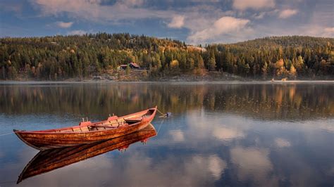 Boat In The Middle Of River With Landscape View Of Trees Covered Forest