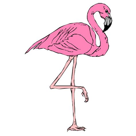 Pink Flamingo Png Svg Clip Art For Web Download Clip