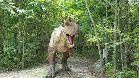 You Have To Visit This Incredible Dinosaur Forest In Louisiana