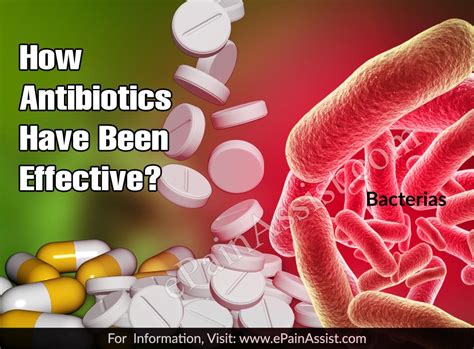 How Antibiotics Have Been Effective And Why Its Resistance Is A Growing