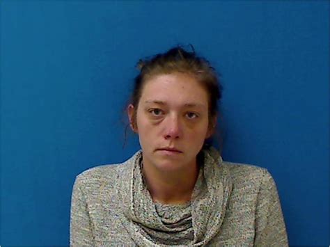 stephens brandy nicole 12 28 2020 catawba county mugshots zone