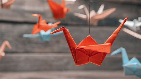 Register For An Origami Art Workshop With Lbb