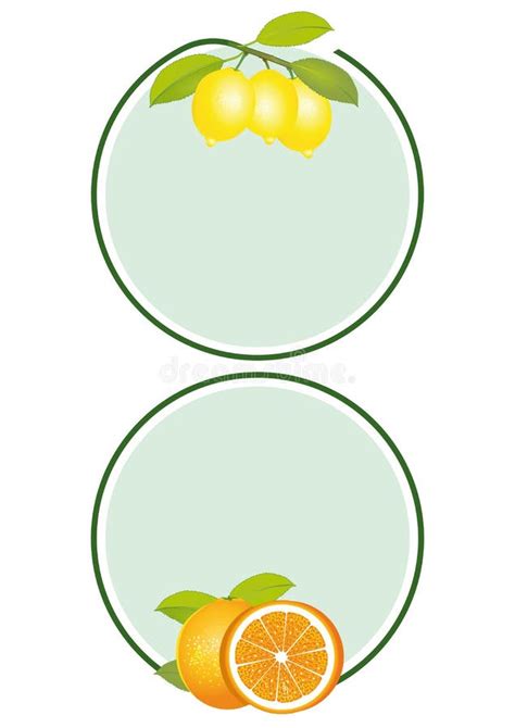 Labels De Citrons Et Doranges Illustration De Vecteur Illustration