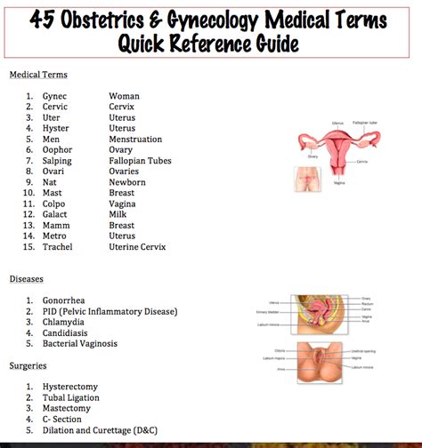 Easy Medical Terminology 45 Obstetrics And Gynecology Medical Terms