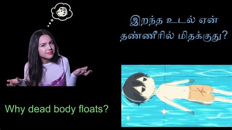 இறந்த உடல் ஏன் மிதக்கிறது 🤽 Why Does Dead Body Float Youtube