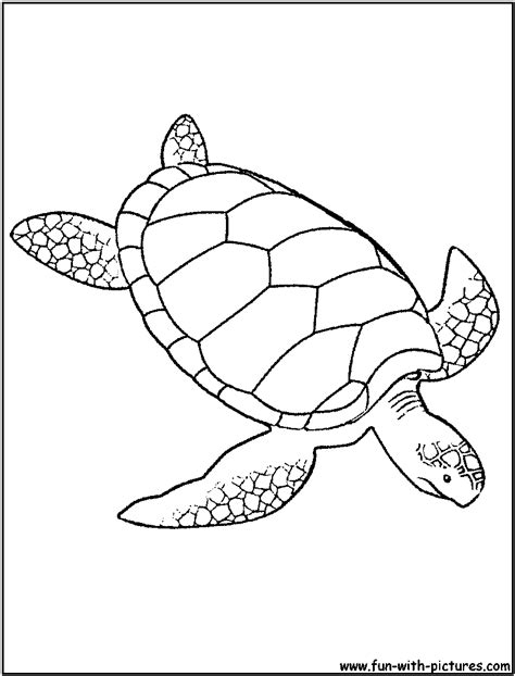 69 dessins de coloriage tortue à imprimer sur LaGuerche com Page 5
