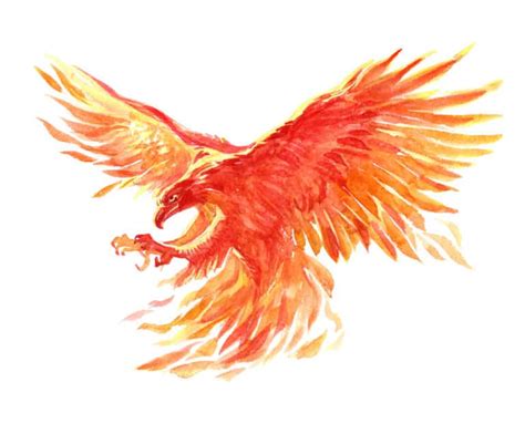 Phoenix Symbolism 10 Spiritual Meanings Of Phoenix