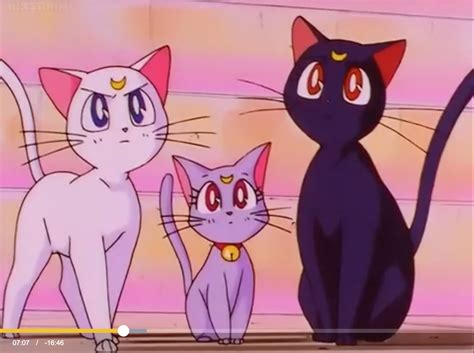Anime Aesthetic Sailor Moon Cat Largest Wallpaper Portal