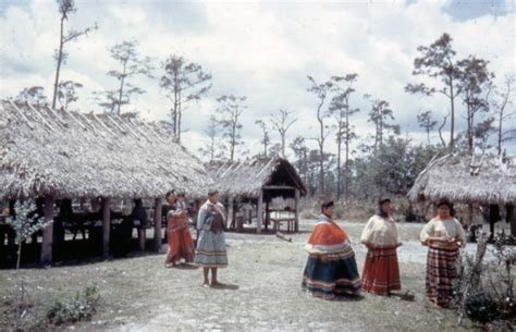 Florida Memory Seminole Indians At Their Village