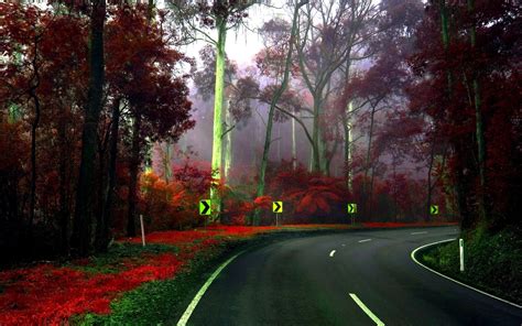 1920x1080 Resolution Gray Concrete Pavement Road Surrounded By Red