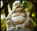 El Buda gordo - El Buda Curioso