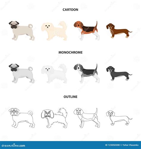 Dog Breeds Cartoonoutlinemonochrome Icons In Set Collection For
