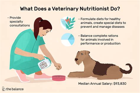 Veterinary assistants provide for the constant cleanliness of the hospital, as well as all patient wards, cages, and runs. Veterinary Nutritionist Job Description: Salary & More