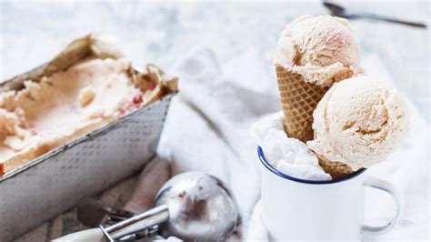 Eis Selber Machen Mit Eismaschine So Lecker Ist Selbstgemachtes Eis Welt