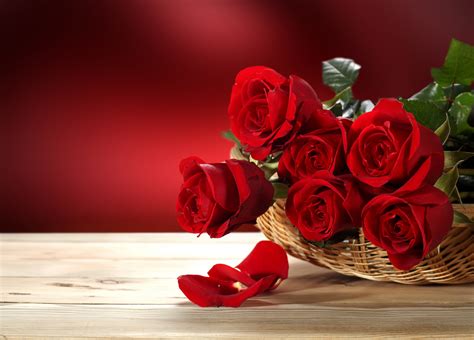 Valentines Day Flowers Wallpapers Wallpaper Cave