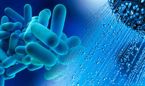 Legionella pneumonia, also known as legionnaires' disease, refers to pulmonary infection primarily with the organism legionella pneumophila. Legionela, la enfermedad del legionario.