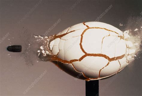 High Speed Photo Of Bullet Hitting Raw Egg Stock Image H6300072