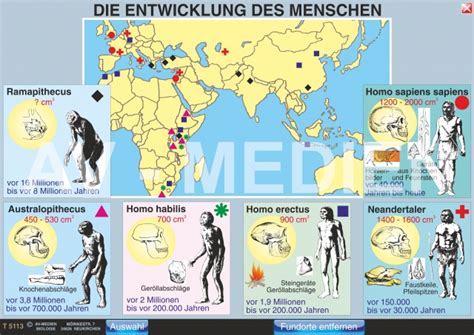 A chance discovery in 2013 has raised serious questions about the trajectory of human evolution. Stammbaum Evolution Mensch