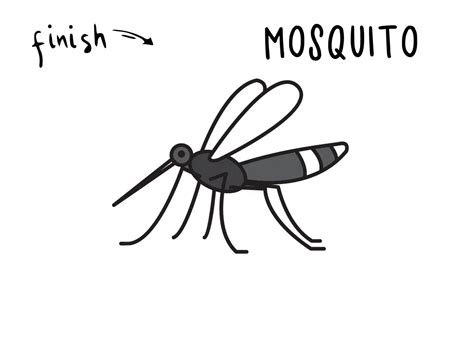 How To Draw A Mosquito Insect Pest Step By Step Guide Rainbow